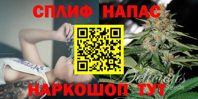 индика Пушкино