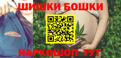 индика Пушкино