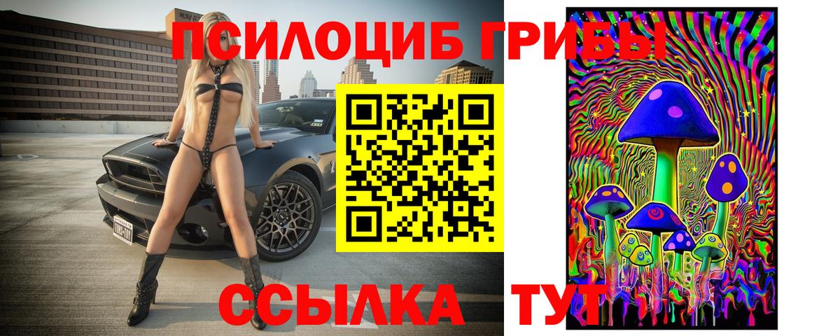 Псилоцибиновые грибы Cubensis  Вход с VPN  Саянск  Псилоцибиновые грибы Psilocybine cubensis 